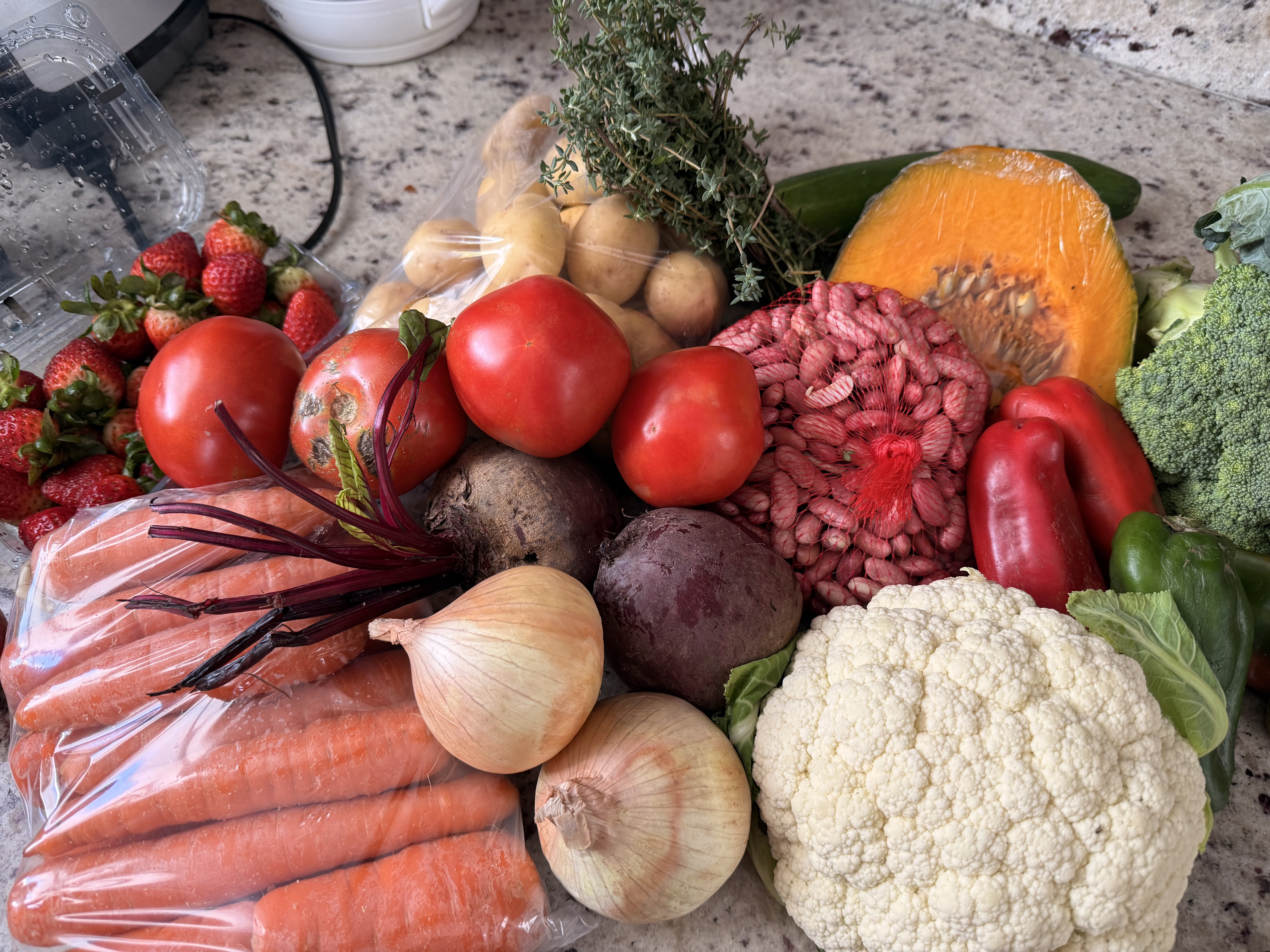 produce purchased at the Feria Agricultor